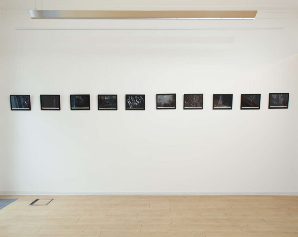 Gods & Demons of the forest ii, Embassy of Ireland, Berlin, 2015