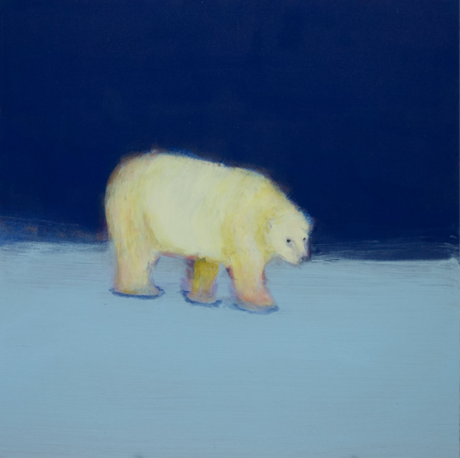Polar bear