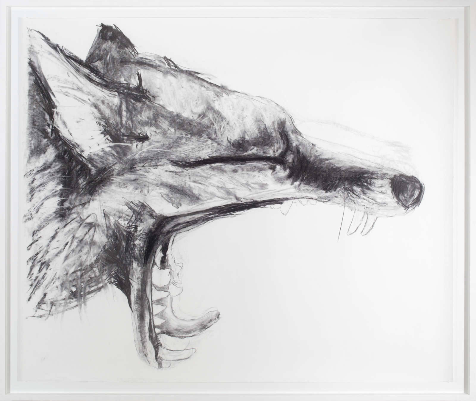 Howl to the ones you love (ii)