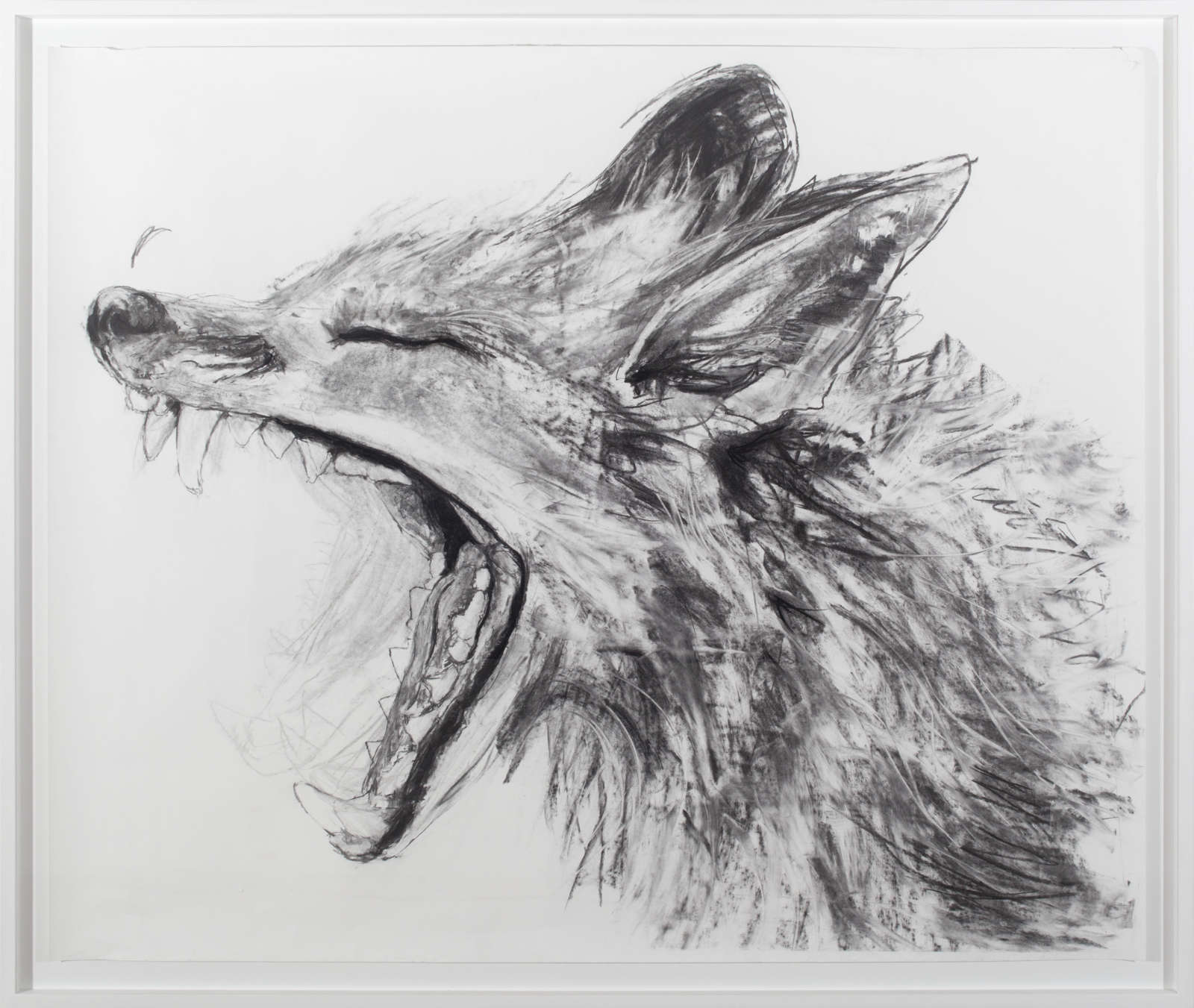 Howl to the ones you love (i)